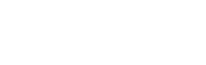 VoidService logo