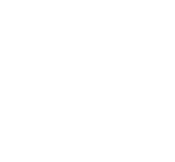 VoidService logo